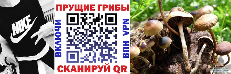 Псилоцибиновые грибы Psilocybine cubensis MEGA сайт Сургут